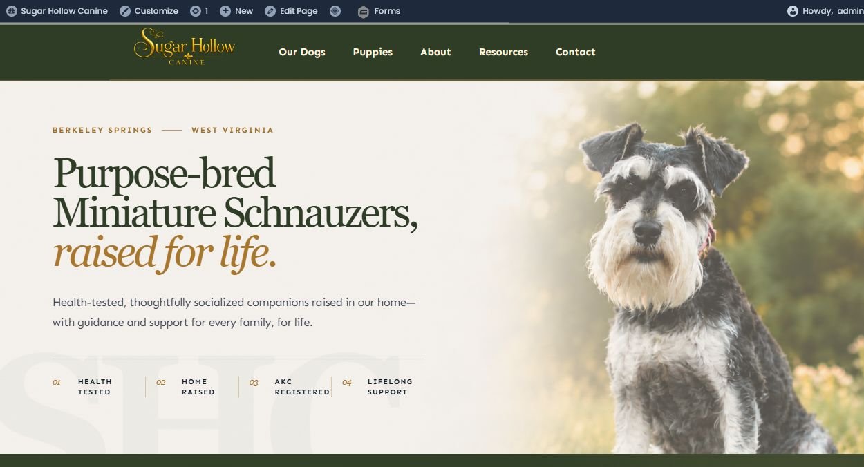 Sugar Hollow Canine Miniature Schnauzer website homepage